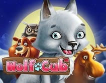 Wolf Cub Wolf Cub